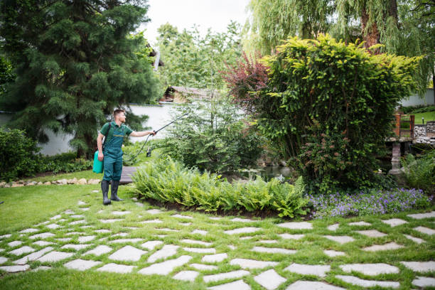 Reliable Trafford, PA Pest Control Solutions