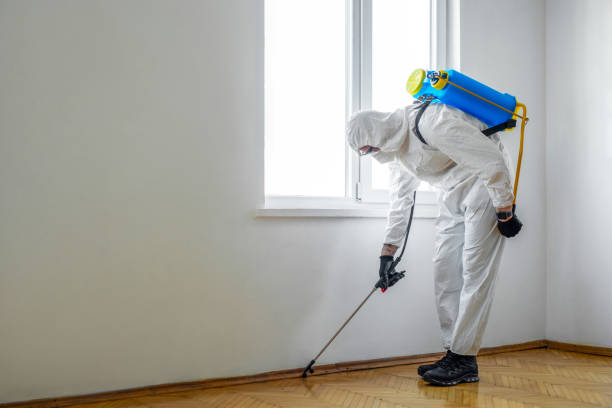 Best Mosquito Control Services  in Trafford, PA