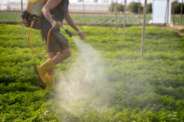 Best Mosquito Control Services  in Trafford, PA