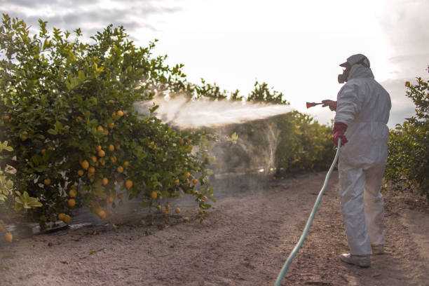 Best Pest Removal Services  in Trafford, PA