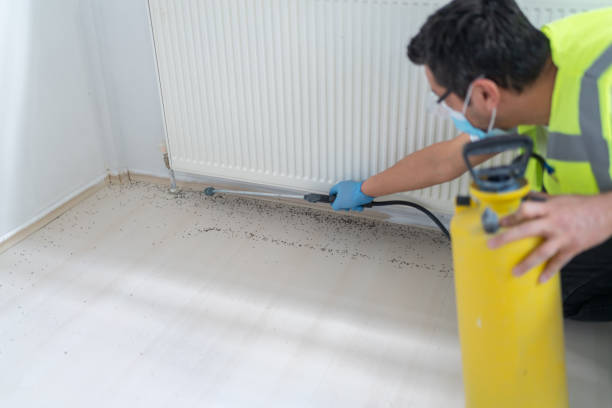 Best Rat Extermination Near Me  in Trafford, PA